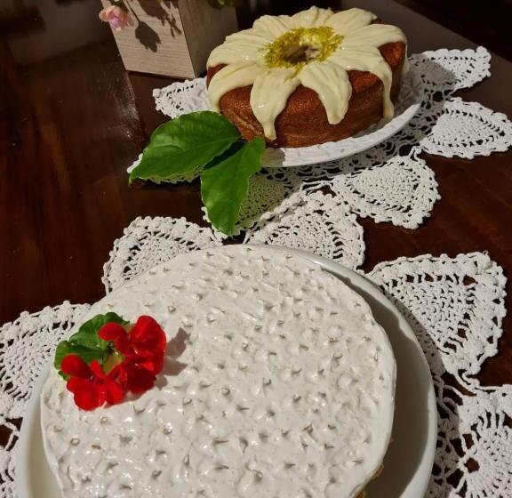 Отель Schneider