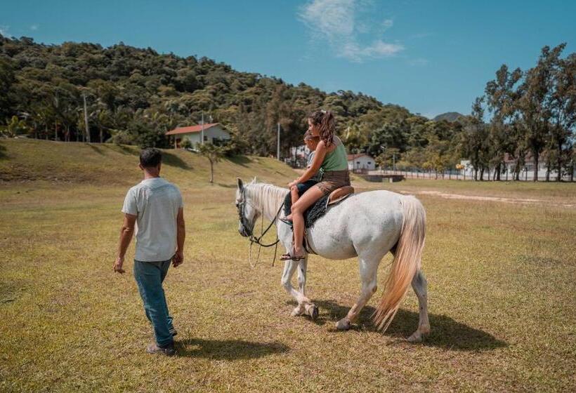 Отель Termas Da Guarda
