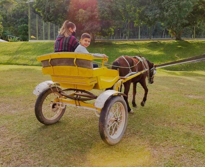 Отель Termas Da Guarda