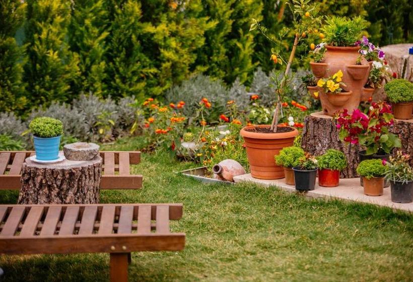 Bed and Breakfast Bellapi̇etra