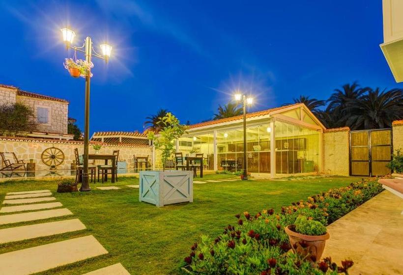 Bed and Breakfast Bellapi̇etra