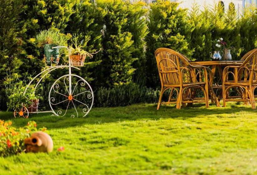 Bed and Breakfast Bellapi̇etra