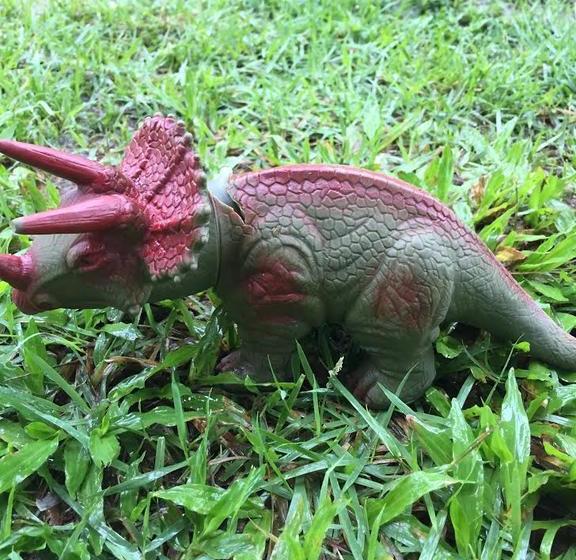 Отель Delta Maresias Studio