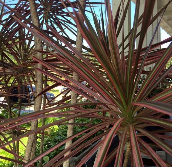 Отель Delta Maresias Studio