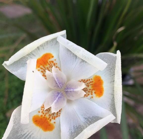 Отель Delta Maresias Studio