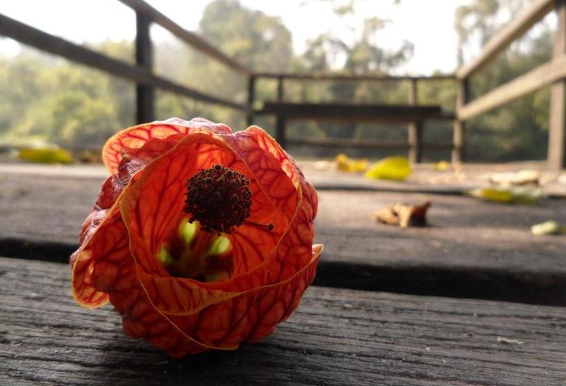 酒店 Vale Do Sonho