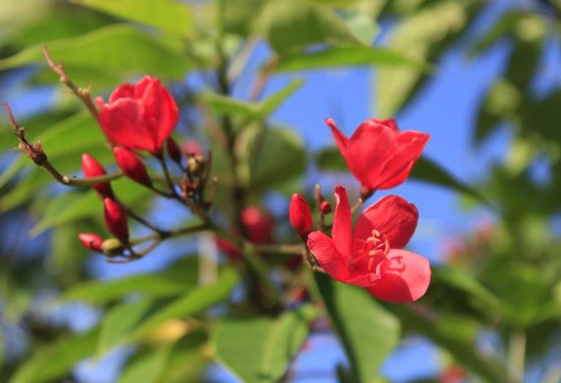 酒店 Vale Do Sonho