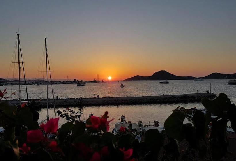 Bed and Breakfast Ali Baba