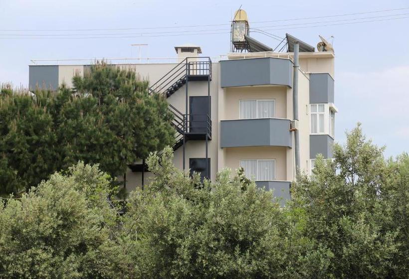 تختخواب و صبحانه Delfin Otel