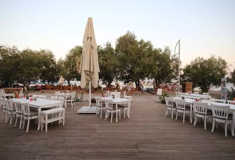 ベッドアンドブレックファースト Meggs Bodrum Beach