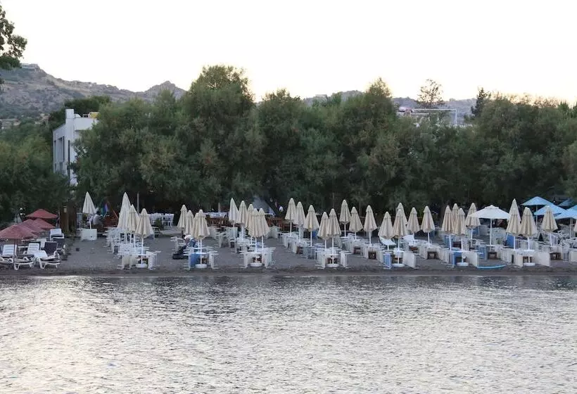 ベッドアンドブレックファースト Meggs Bodrum Beach