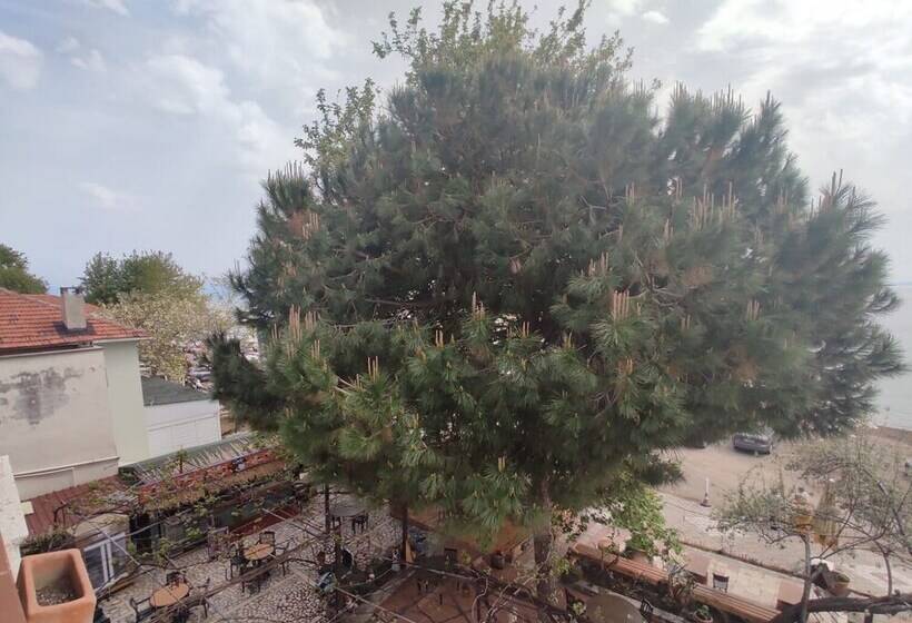 فندق Mare & Monte