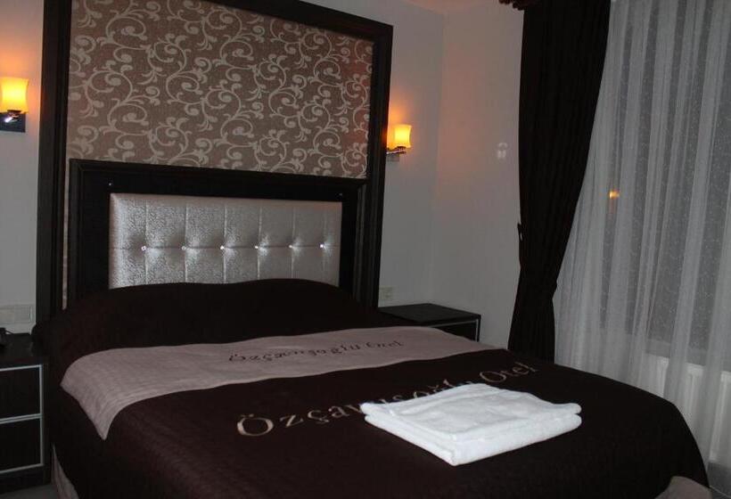 ホテル Ozcavusoglu