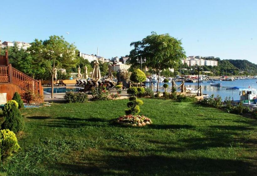 فندق Phellos Suites