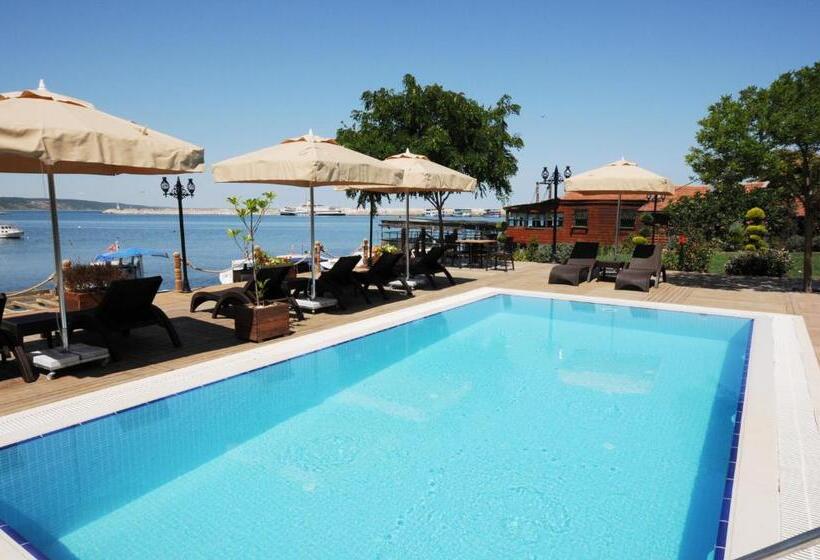 فندق Phellos Suites