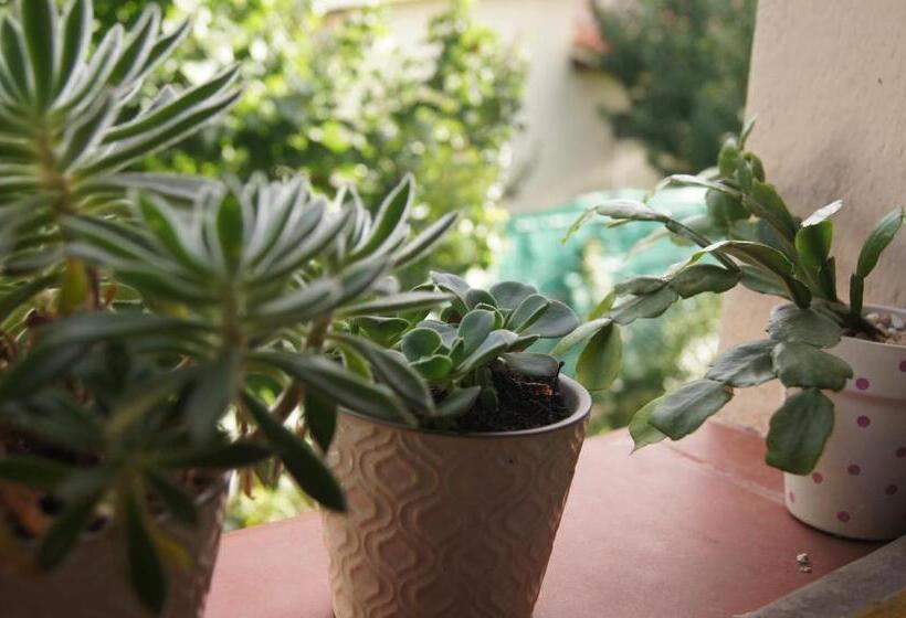 Bed & Breakfast Lorelei