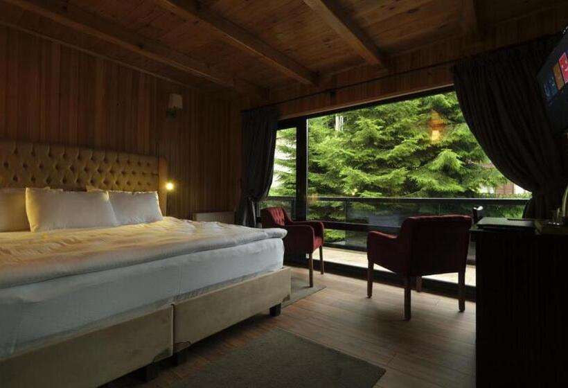 هتل Ayder Villa De Pelit