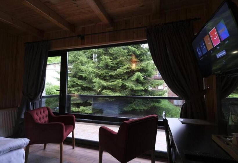 هتل Ayder Villa De Pelit