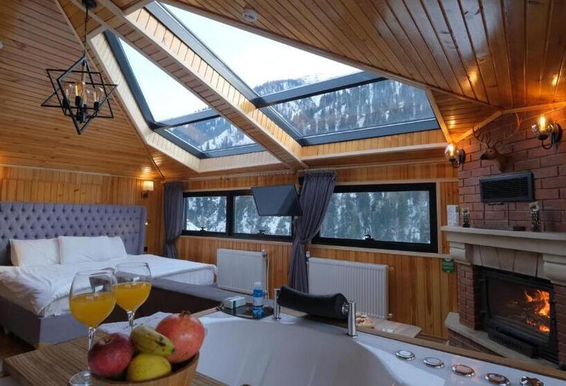 هتل Ayder Villa De Pelit