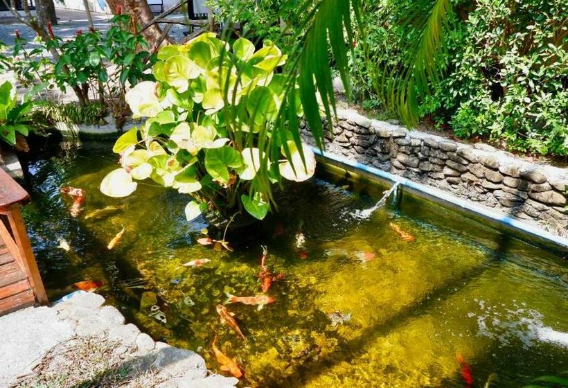 בית מלון כפרי Garden Resort