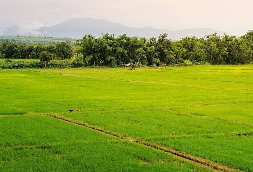 Kyp Khunyuw Place Hotel โรงแรมเควายพี ขุนยูวเพลส ฝาง