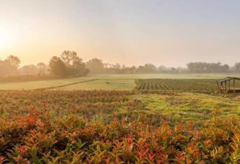 Kyp Khunyuw Place Hotel โรงแรมเควายพี ขุนยูวเพลส ฝาง