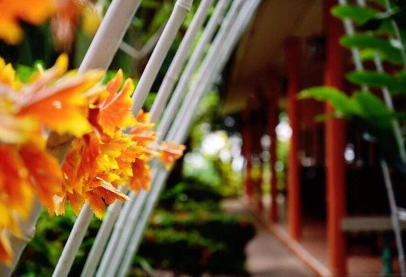 Mon Kiang Dao Resort