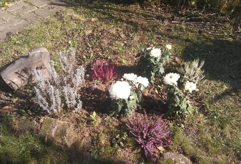 تختخواب و صبحانه Sobe Zeravica Sremski Karlovci