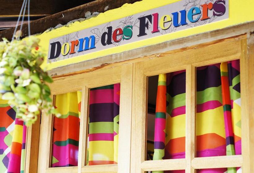 הוסטל Les Fleurs