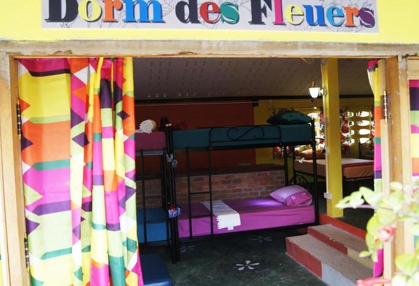 הוסטל Les Fleurs