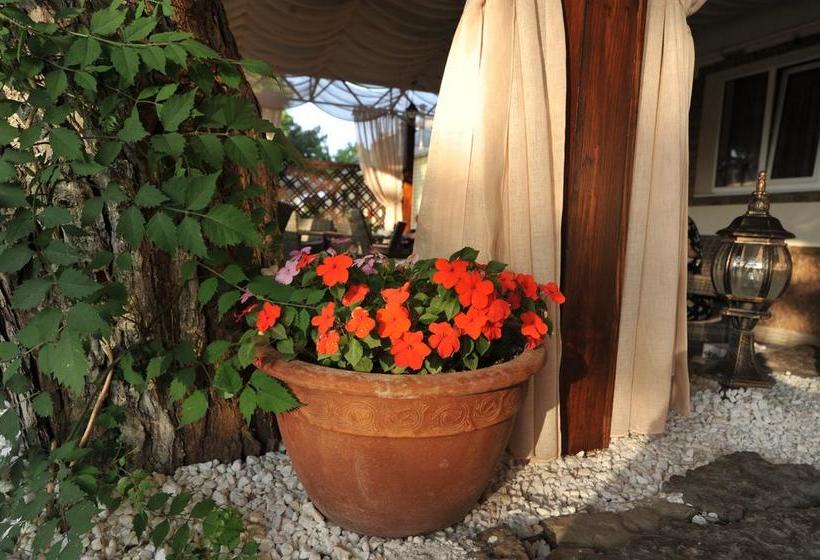 בית מלון כפרי Maksimus