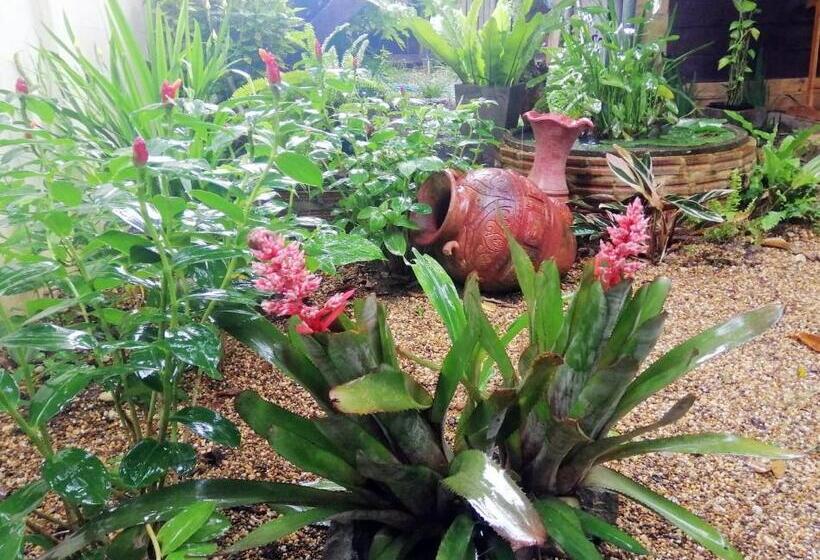 리조트 Homestay Chiang Rai