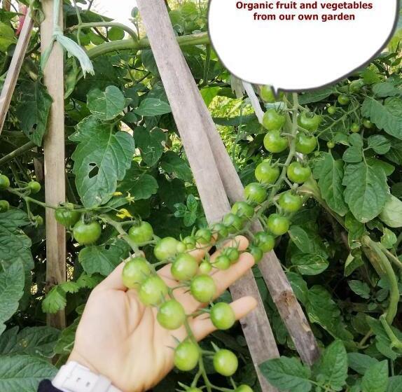 리조트 Homestay Chiang Rai