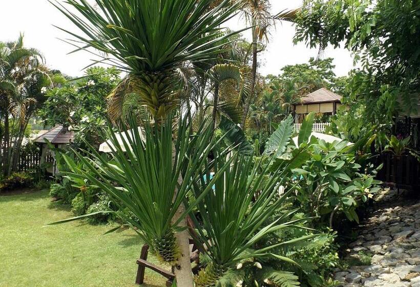 리조트 Homestay Chiang Rai