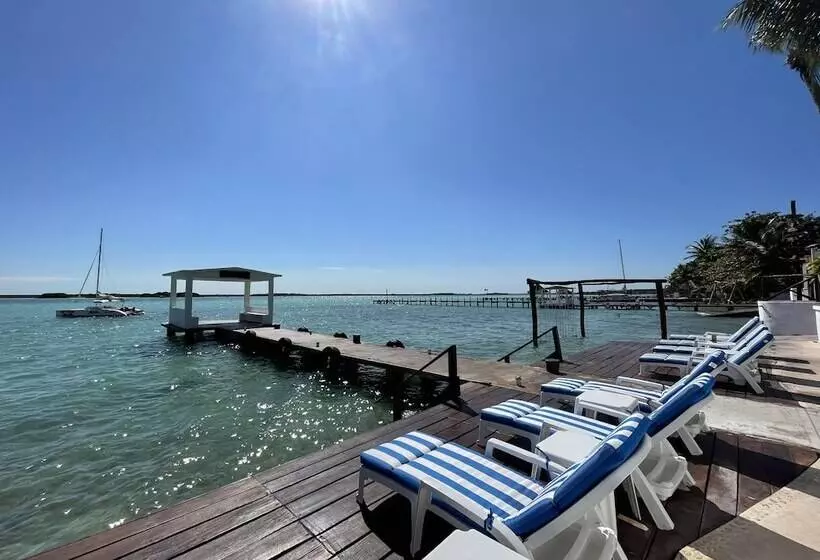 ホテル Aldea 19 Bacalar