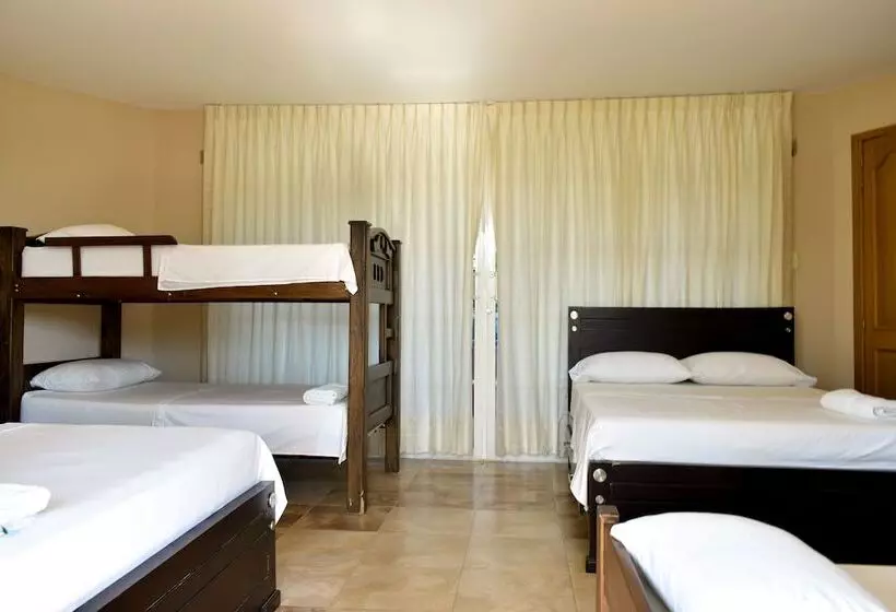 ホテル Campestre Villa Ocha