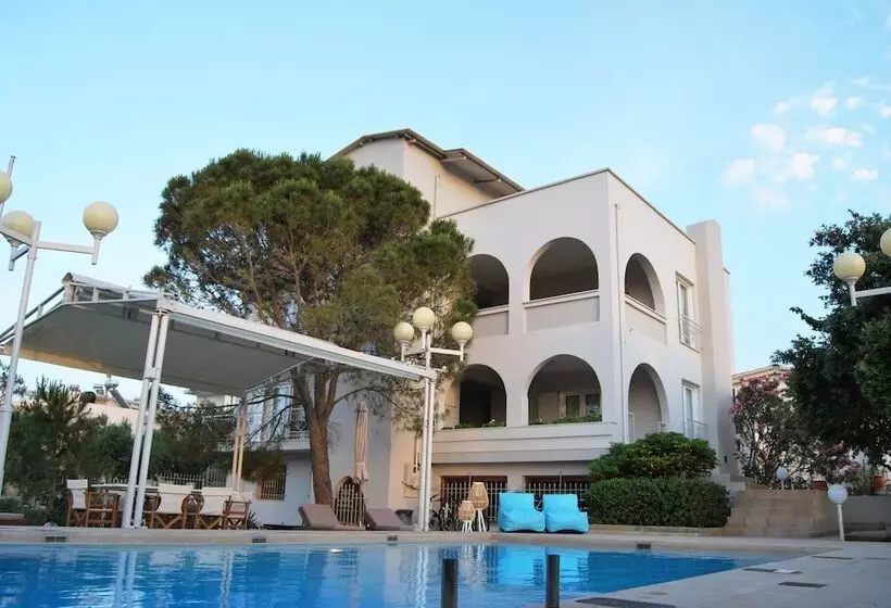 Chrysiida Suites