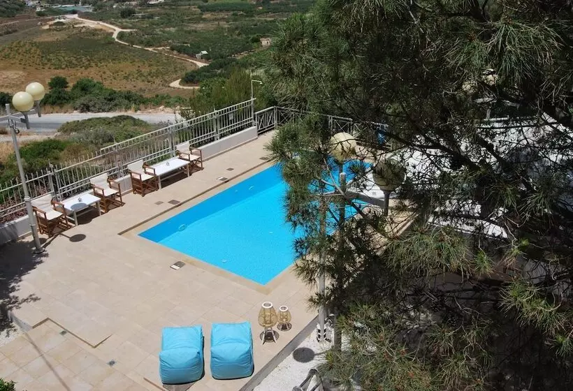 Chrysiida Suites