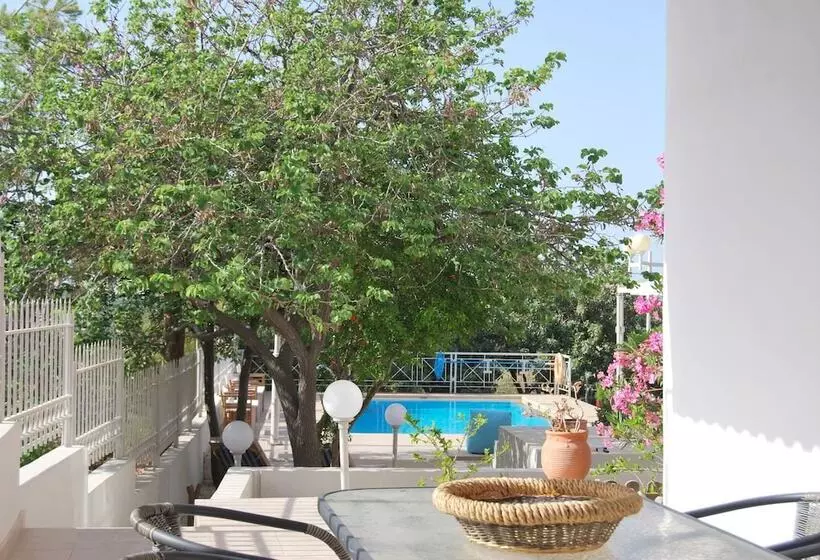 Chrysiida Suites