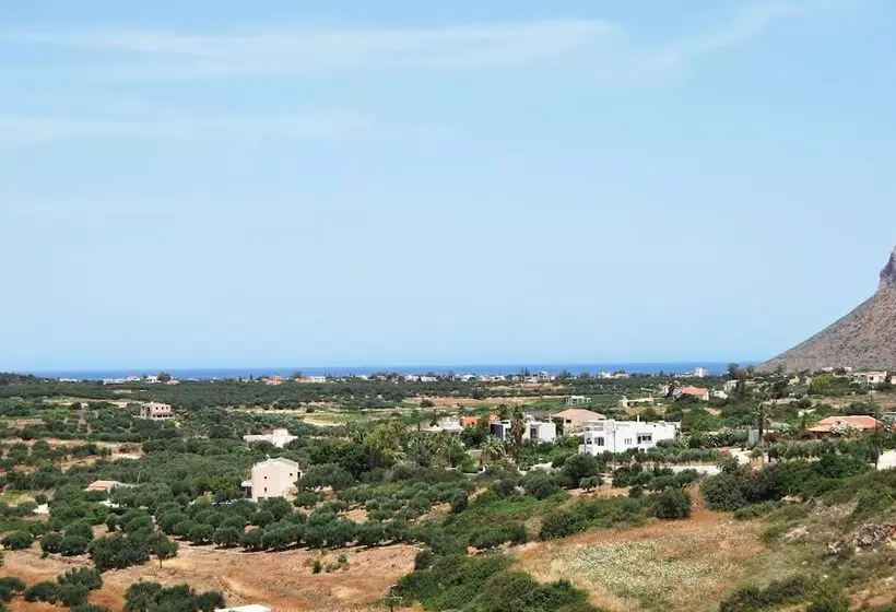 Chrysiida Suites