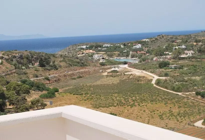 Chrysiida Suites