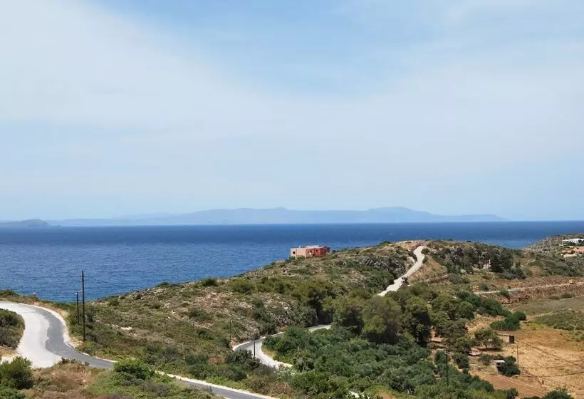 Chrysiida Suites