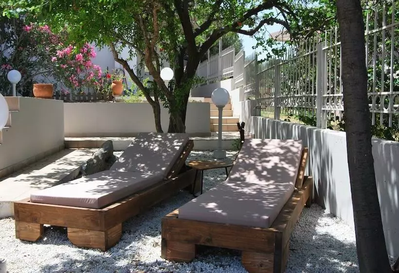 Chrysiida Suites