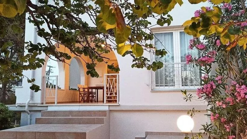 Chrysiida Suites