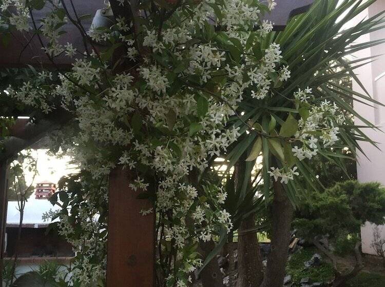 Diamond Palace Apartments