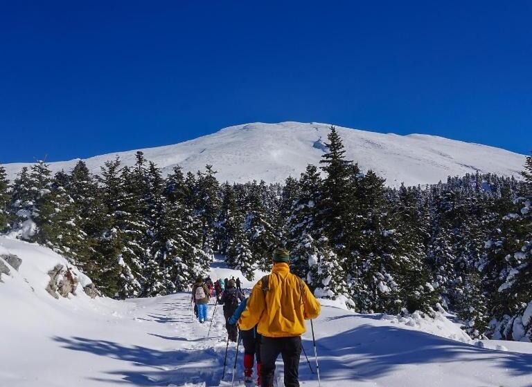 ホテル Archontiko Parnassus Dadi