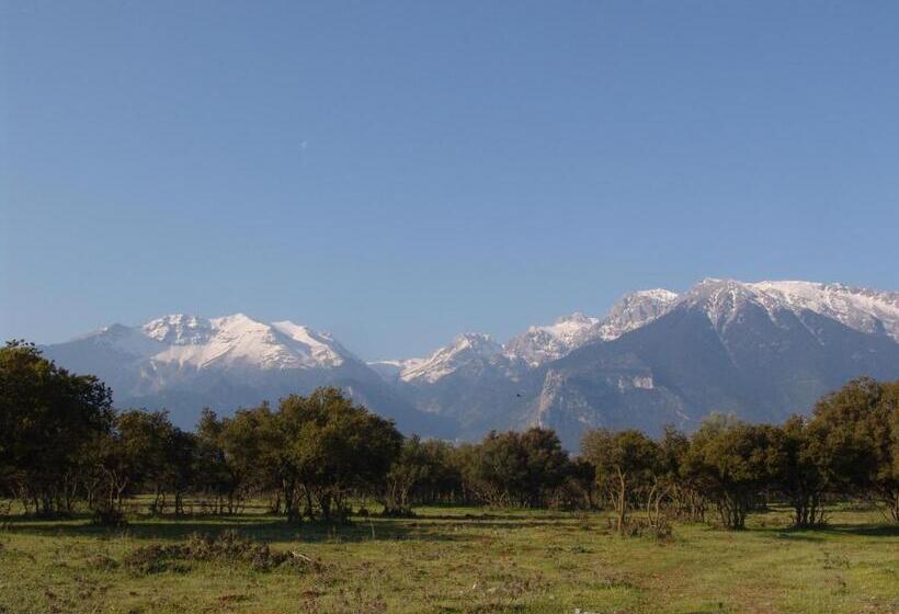 ホテル Archontiko Parnassus Dadi