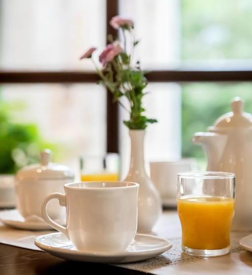 ホテル Archontiko Parnassus Dadi