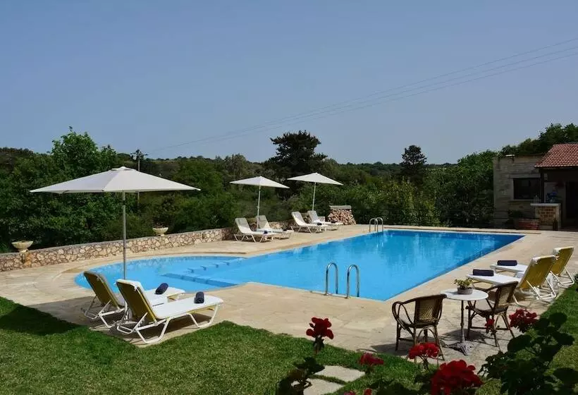 ホテル Elianthos Villas