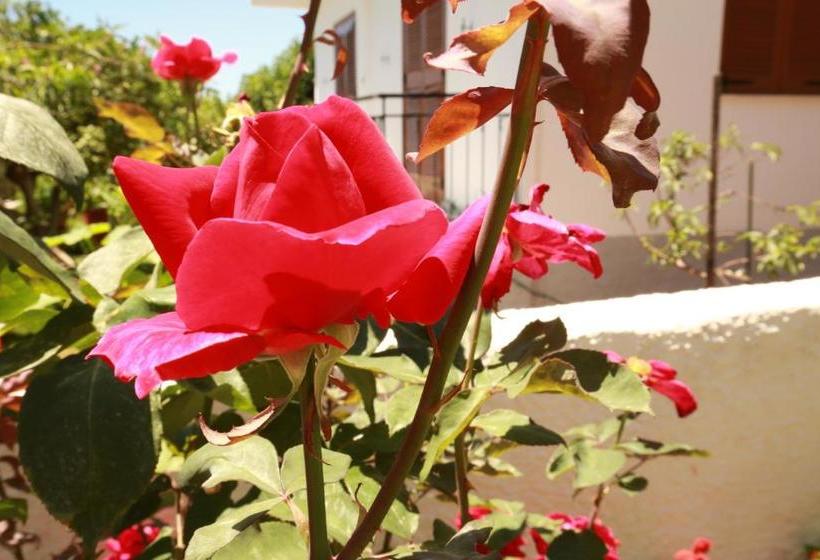 Maistreli Hotel Apartments